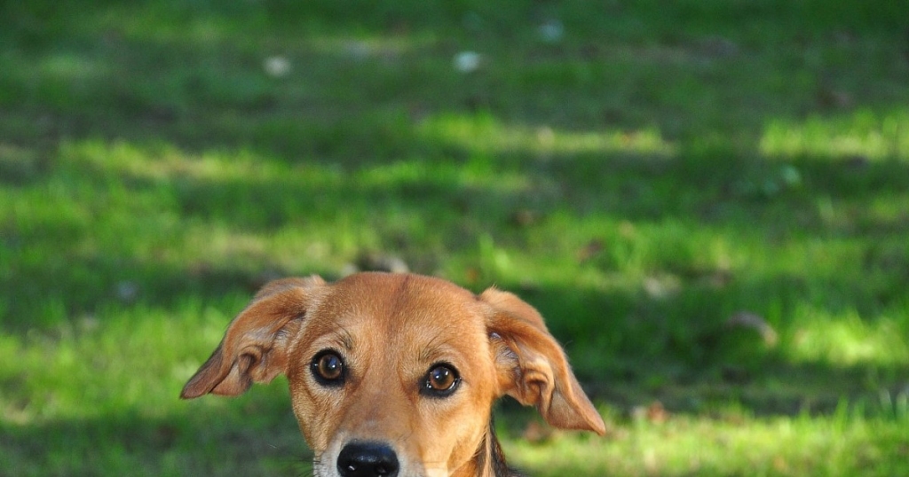 Fotoattēlam ilustratīva nozīme.