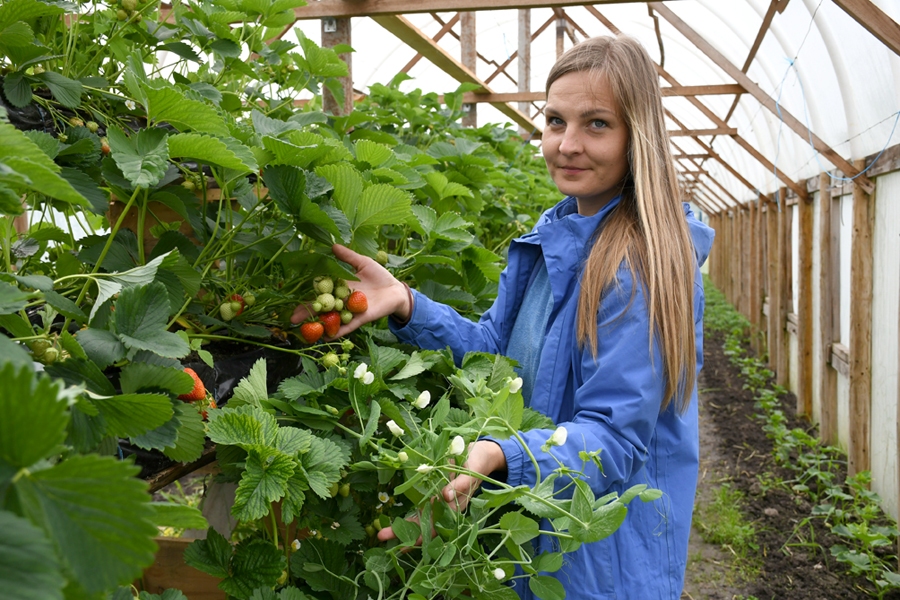 Maija Lauriņa-Rimicāne: «Var jau investēt un audzēt zemenes apkurinātās siltumnīcās, bet to cena būs ļoti augsta.»
Autors: Ivars Bogdanovs