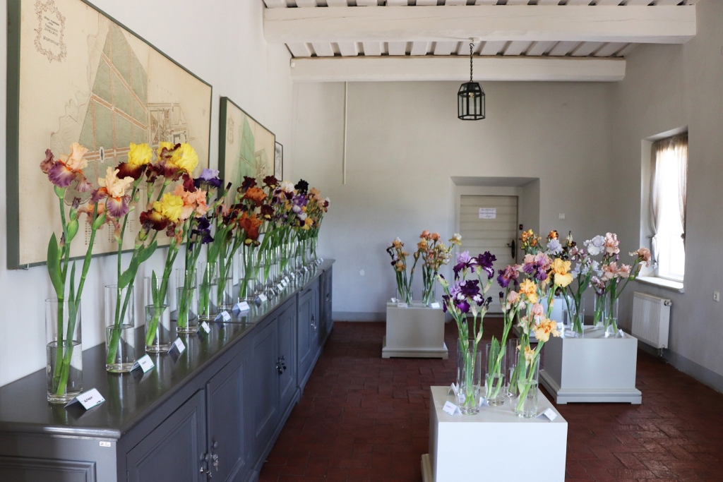 Autors: Publicitātes foto.