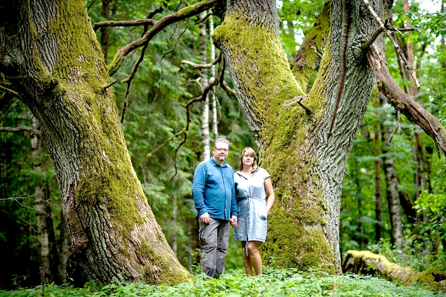 Ineses Gmizo-Lārmanes un Viestura Lārmaņa pamatdarbs vairāk nekā 20 gadu bijusi dabas aizsardzība, bet 2016. gadā viņi pārcēlās uz laukiem Valkas pagastā, kur saimnieko dabas saimniecībā «Bekas», dabiskajās pļavās. «Ja cilvēks iznīcina biodaudzveidību dabā, tad viņš iznīcina nākotnes iespējas veidot sev labāku dzīvi,» dabisko dzīvotņu saglabāšanas milzīgo nozīmi uzsver V. Lārmanis.
Autors: projekts «GrassLife»