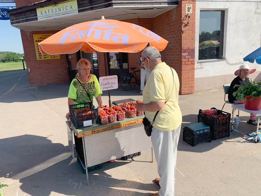 Maija Bula atbraukusi tirgot zemenes no Gailīšu pagasta Uzvaras.
Autors: Kaspars Kalējs