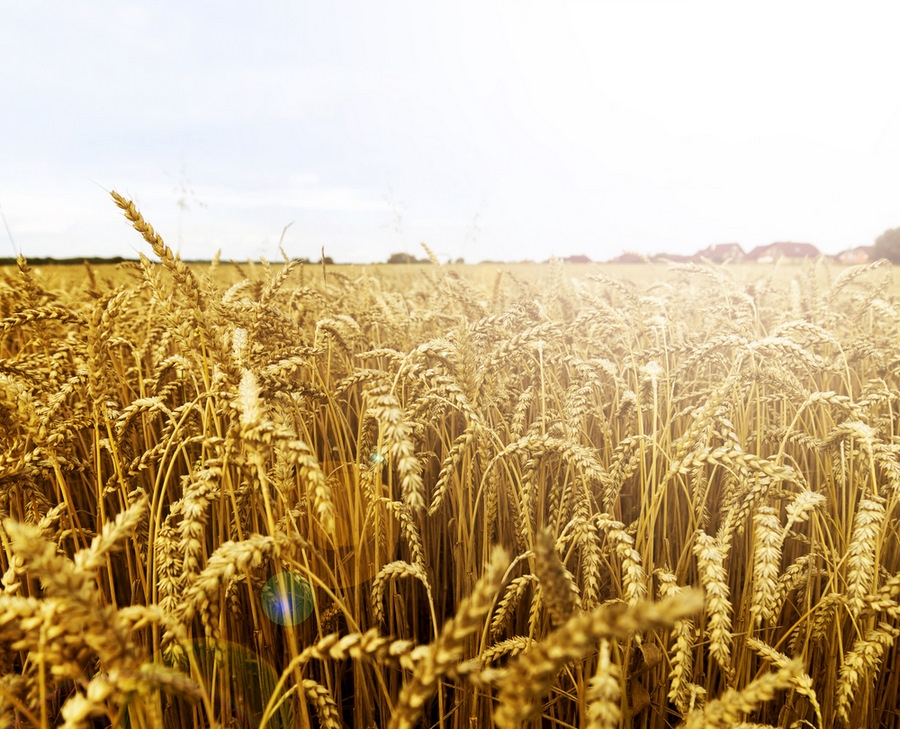 Autors: no «Bauskas Dzīves» arhīva.