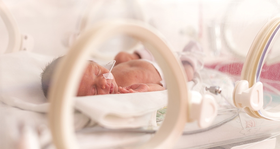 Ja mazulis nespēj uzņemt visu nepieciešamo uzturvielu apjomu tikai ar pienu, viņu baro, venozi ievadot nepieciešamās uzturvielas – 
taukus, olbaltumvielas un ogļhidrātus.
Autors: no mybaba.com.