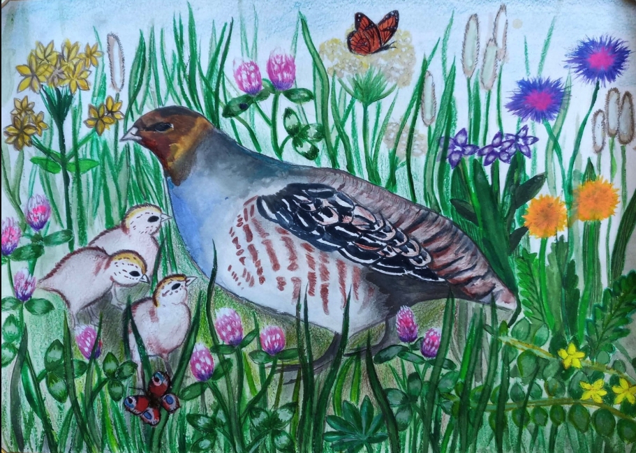 Gabriēlas Lailas Aleksejevas zīmējums.
Autors: Publicitātes attēls.