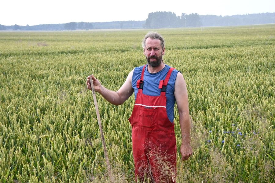 Jānis Vackars demonstrē vietu, kur ir atzīmēta bioloģiski apstrādāta lauka robeža.
Autors: Ivars Bogdanovs