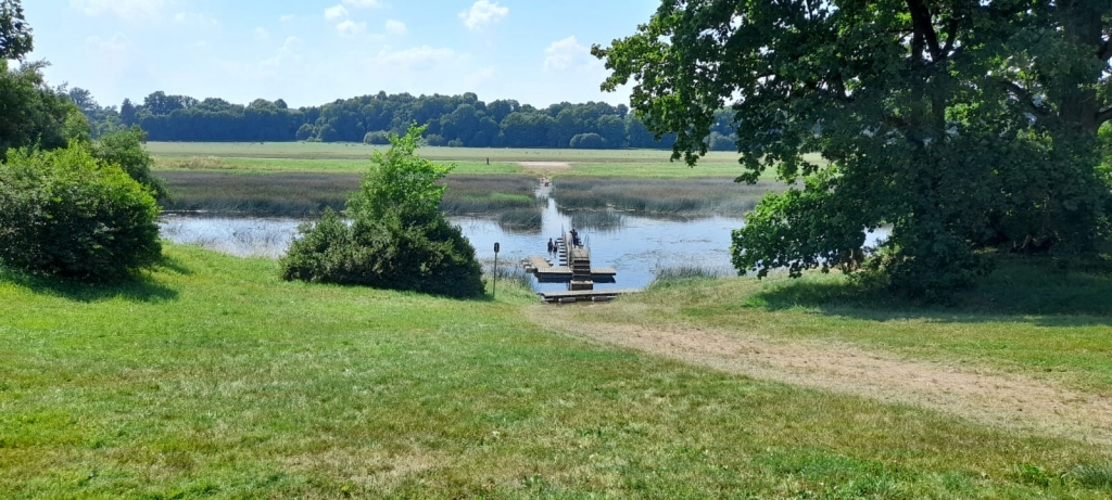 Autors: Zigurds Kalējs