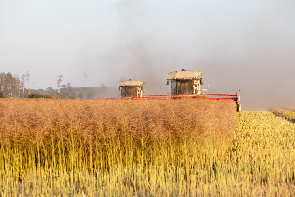 Autors: K.Ustups, „Bauskas Dzīves” arhīvs.
