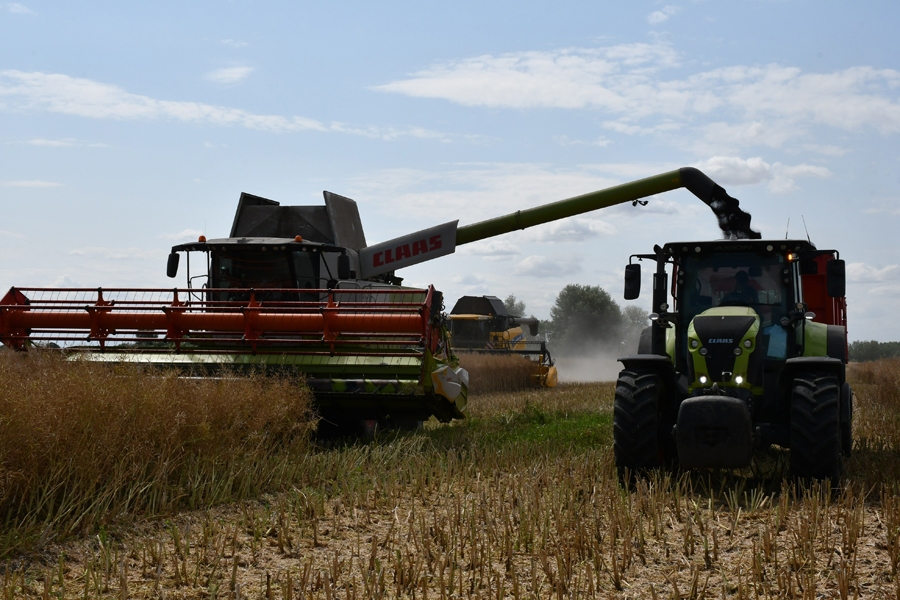 SIA «Mālnieki» ziemas rapsi sāka kult pirmdien.
Autors: Ivars Bogdanovs