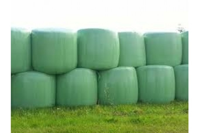 Attēlam ilustratīva nozīme.
Autors: no rekurzeme.lv