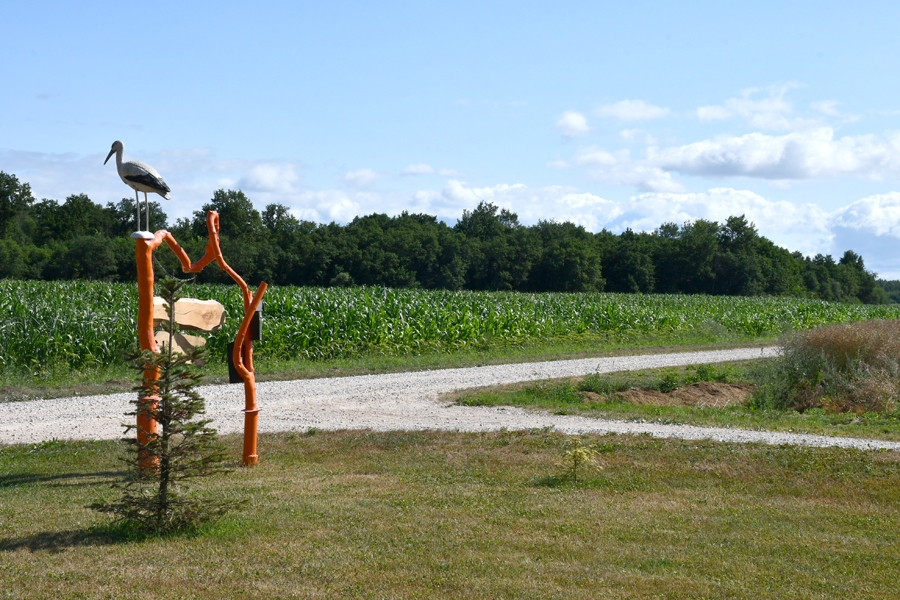 «Namiņu» un «Zeltaiņu» māju austrumu puses dabasskats drīz pārvērtīsies vienkāršā zemes 
uzbērumā.
Autors: Ivars Bogdanovs
