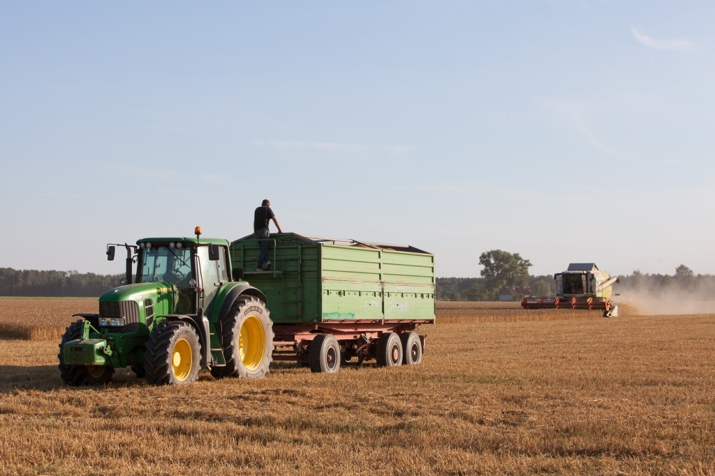 Labības pļauja Bauskas apkaimē.
Autors: K. Ustups, 