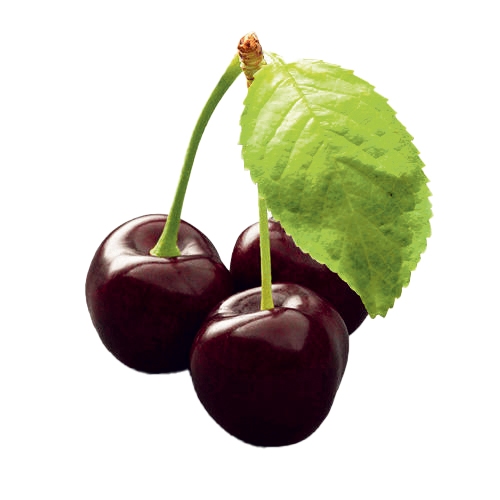 Autors: Brigita Skaistkalne