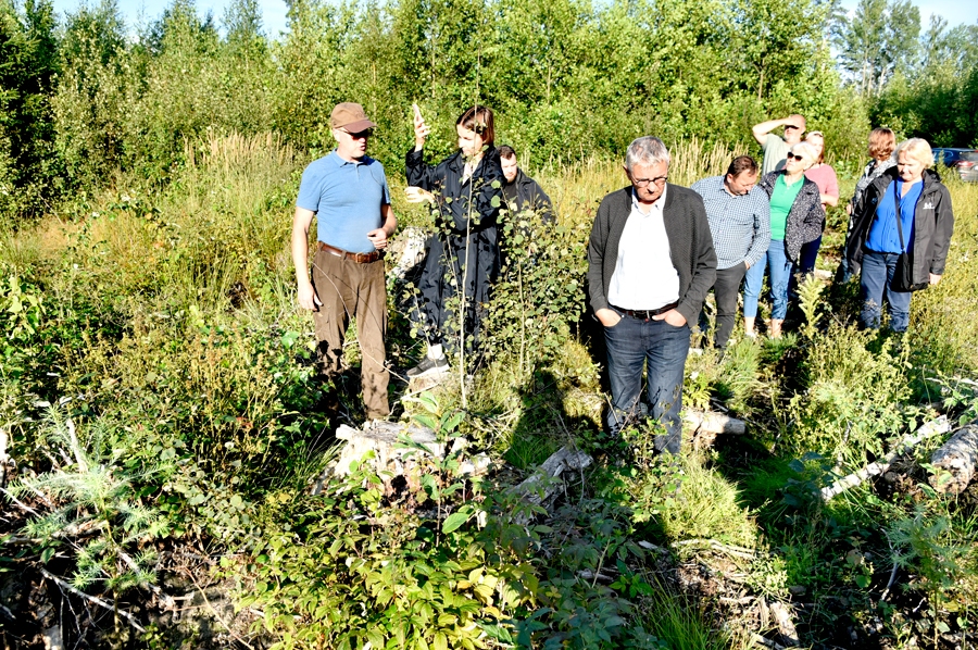 Edgars Keičs (no kreisās) izrāda konkursa «Sakoptākais mežs» žūrijai iestādītās lapegles.
Autors: ULDIS VARNEVIČS