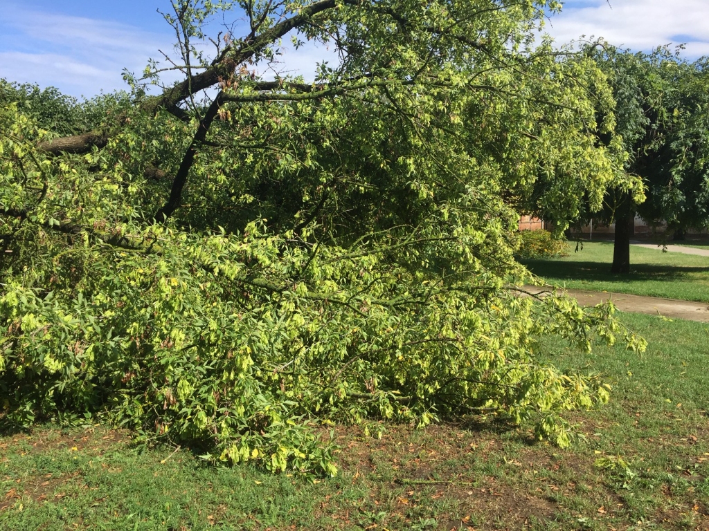 Autors: www.bauskasdzive.lv