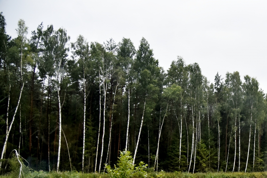 Attēlam ilustratīva nozīme.
Autors: Uldis Varnevičs