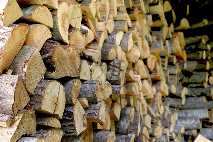 Pabalstu var izsniegt arī natūrā, t. i., piegādājot, piemēram, malku vai apmaksājot kurināmā iegādi.
Autors: L. Matsone, redzet.eu arhīvs.