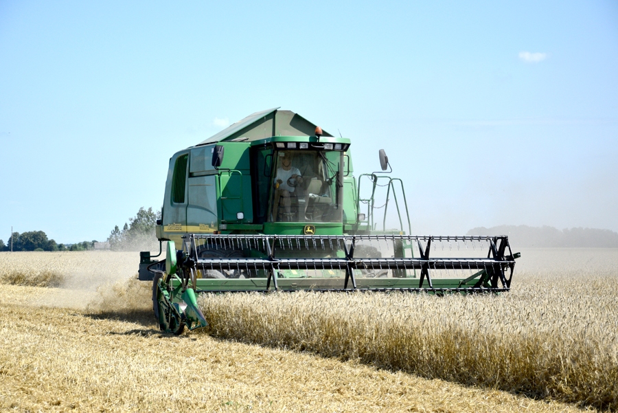 Graudaugiem cietusi ne tikai ražība, bet arī kvalitāte.
Autors: Ivars Bogdanovs