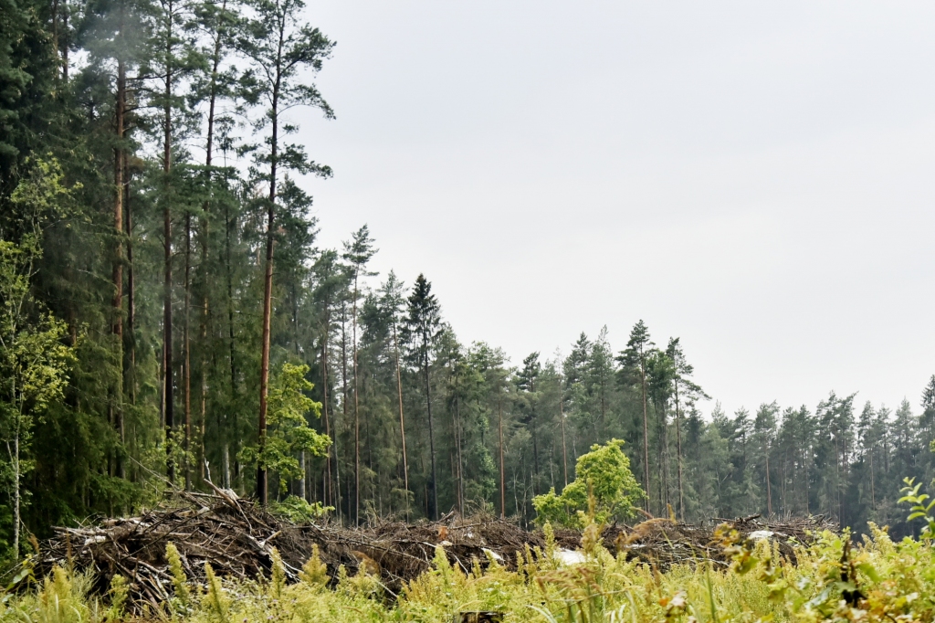 Ilustratīvs attēls.
Autors: Uldis Varnevičs