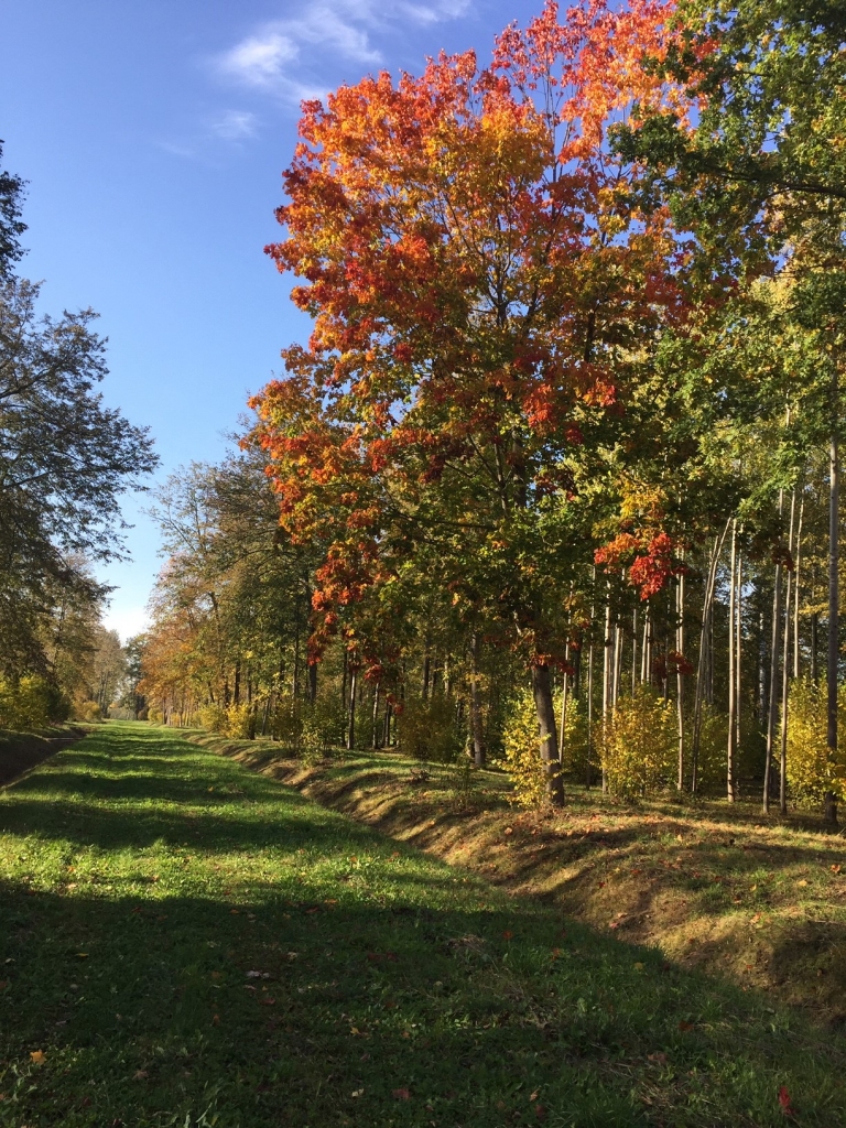 Autors: www.bauskasdzive.lv