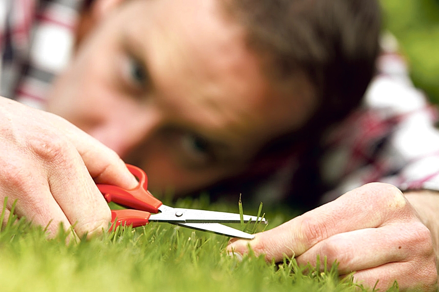 Perfekcionisms var veidoties socializācijas posmā (no 10 līdz 25 gadiem) pēc traumatiskas pieredzes, kad nepieņem sabiedrība.
Autors: no puaro.lv.