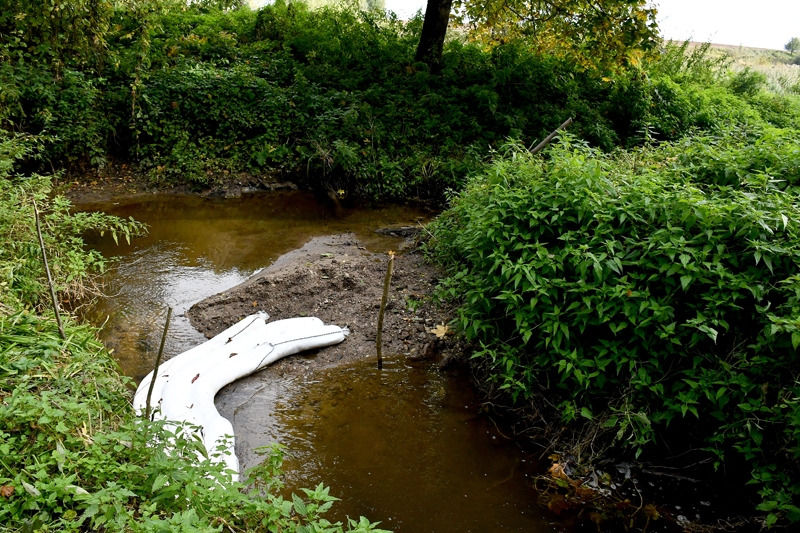 Piesardzības nolūkos pieņemts lēmums bonas vēl dažas dienas atstāt Mūsā un arī attēlā redzamajā Žūku strautā.
Autors: Ivars Bogdanovs