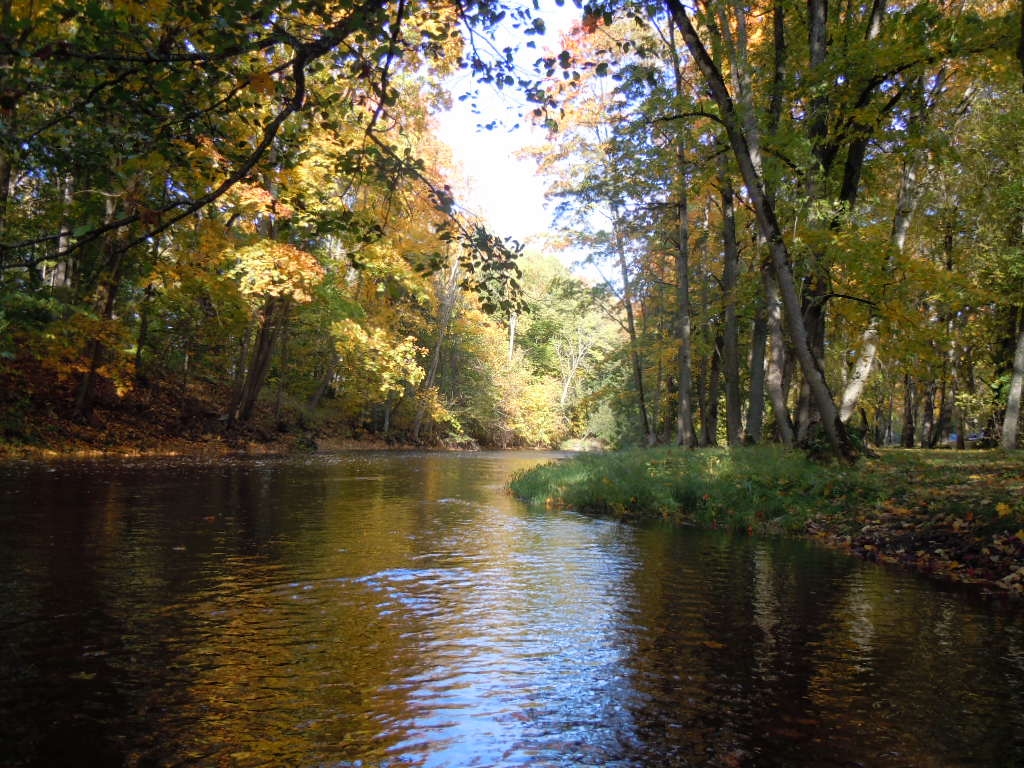 Iecavas upe.
Autors: Ivars Šmits