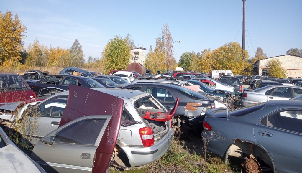 Ilustratīvs attēls.
Autors: no vvd.gov.lv