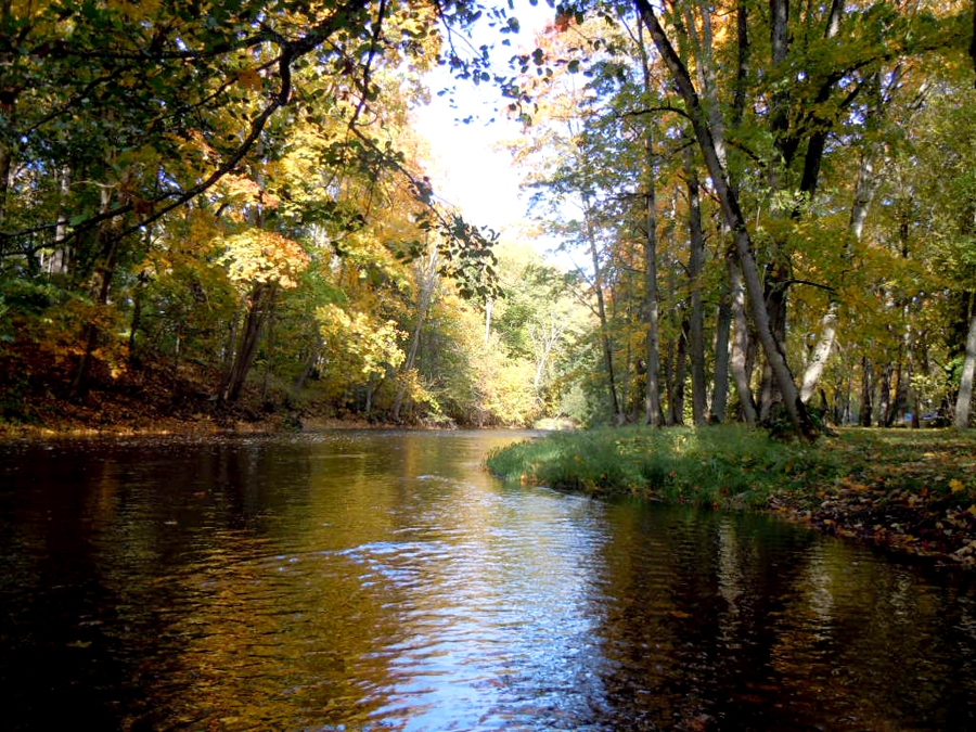 Iecavas upīte ir gleznaina un dabiska.
Autors: Ivars Šmits