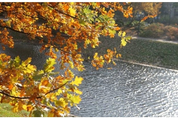 Autors: www.bauskasdzive.lv