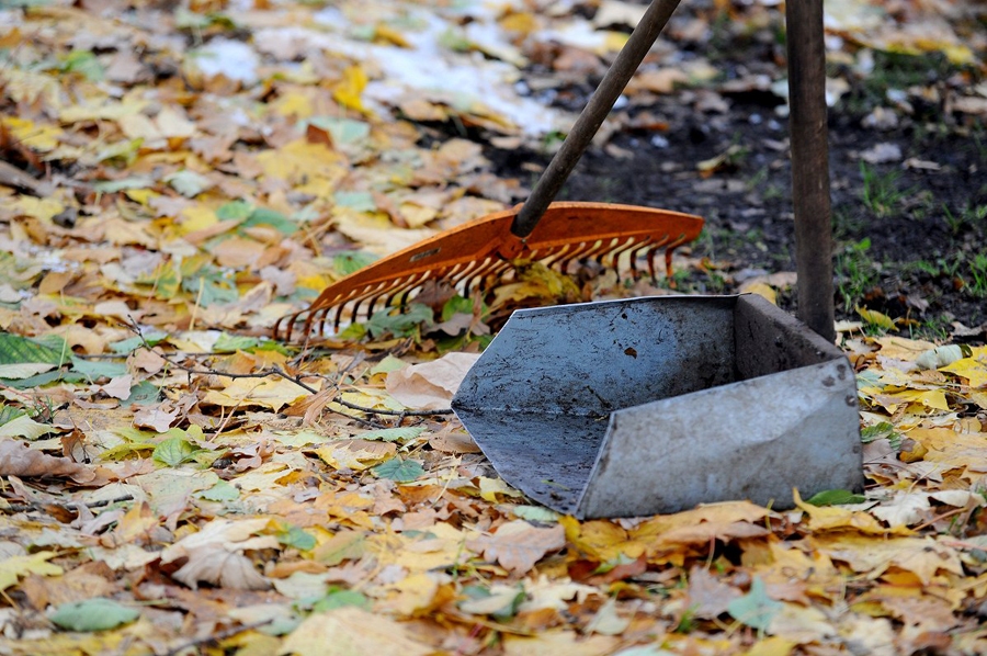 Straujāka automatizācija un IT risinājumu ieviešana radīs situāciju, ka darbu zaudēs mazāk kvalificēti un zemāk atalgoti darbinieki.
Autors: LETA, Evija Trifanova, no lsm.lv