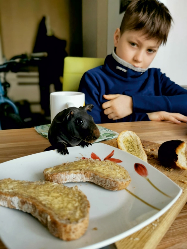 Brokastu maltīte kopā ar saimnieku Aleksu.
Autors: no personīgā albuma.