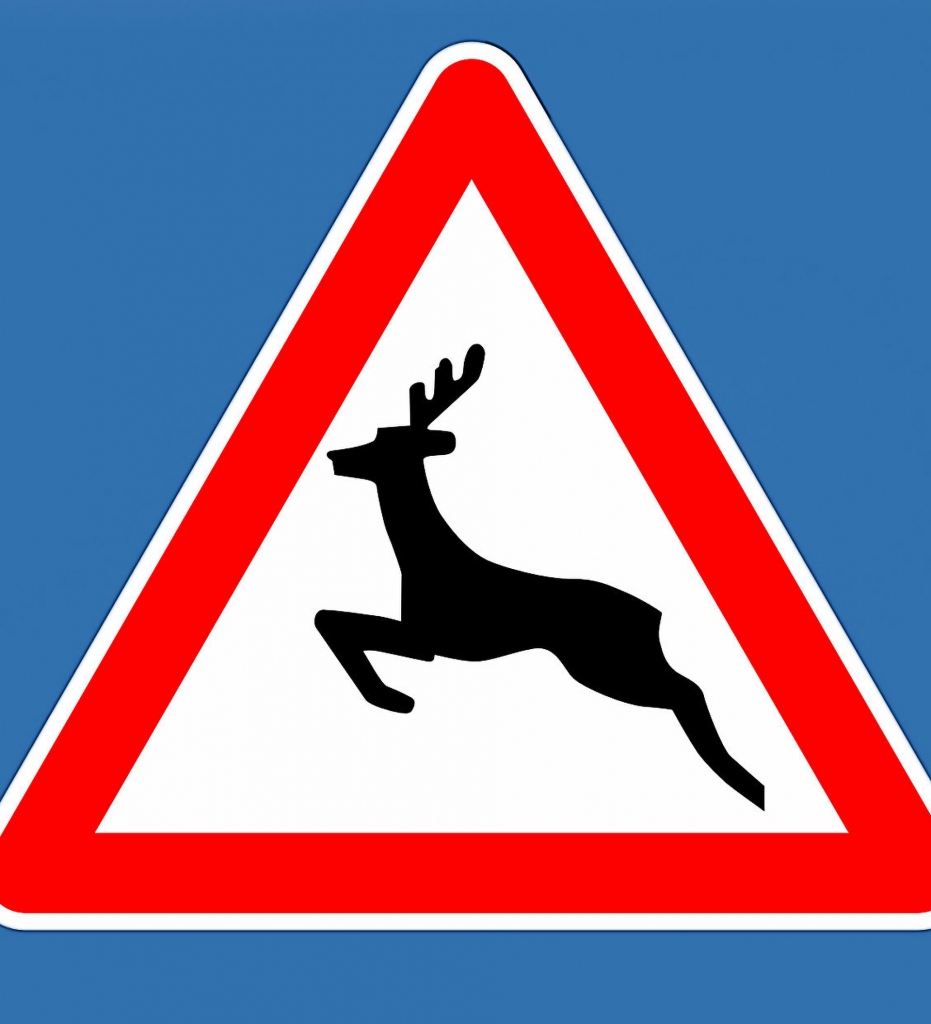 Autors: no pixabay.com