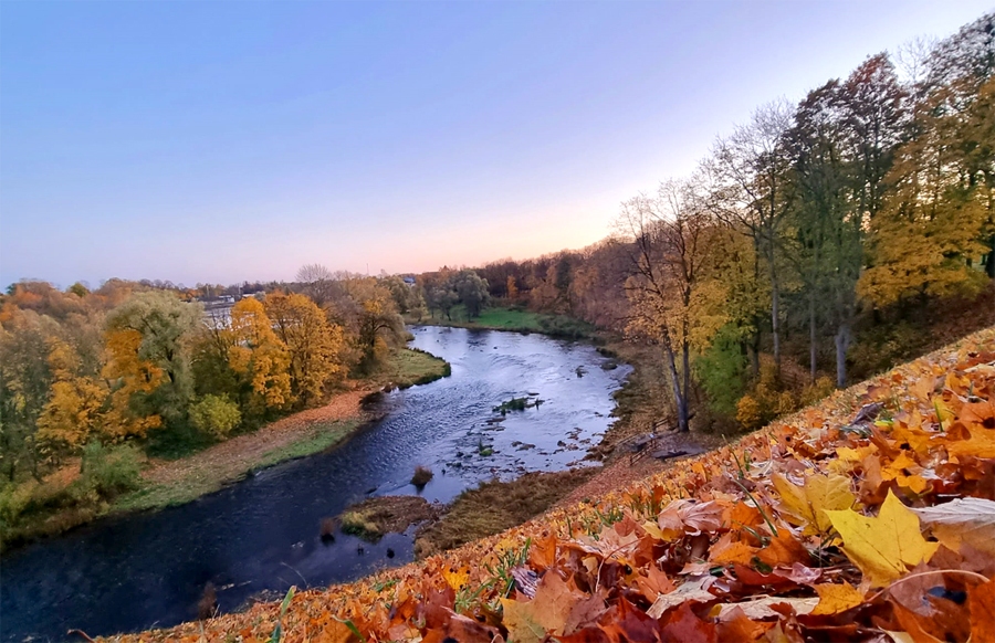 Autors: Sandra Danosa