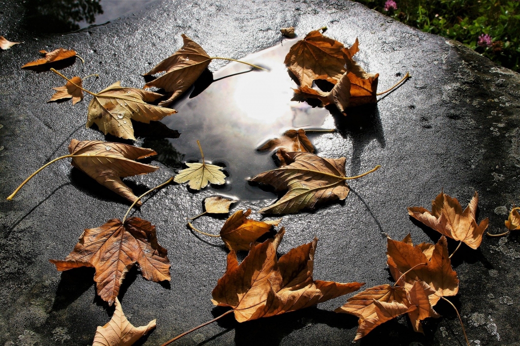 Autors: no pixabay.com