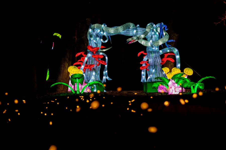 Autors: Publicitātes foto.