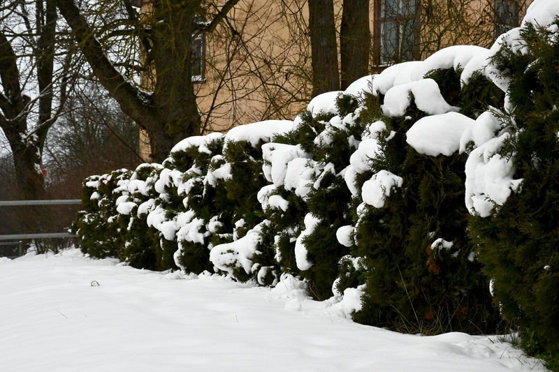 Autors: Ivars Bogdanovs