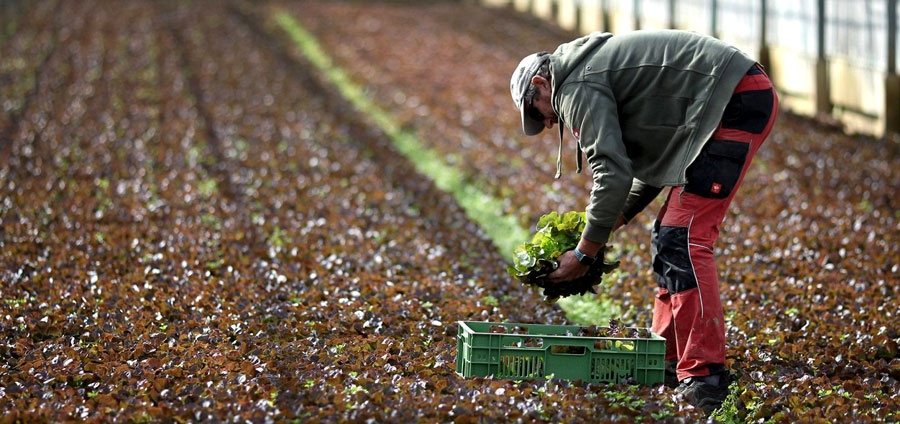 Lauksaimnieks. Attēls ilustratīvs.
Autors: AFP, DANIELS ROLANDS