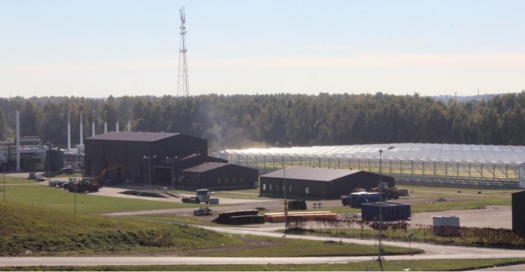 Autors: no getlini.lv