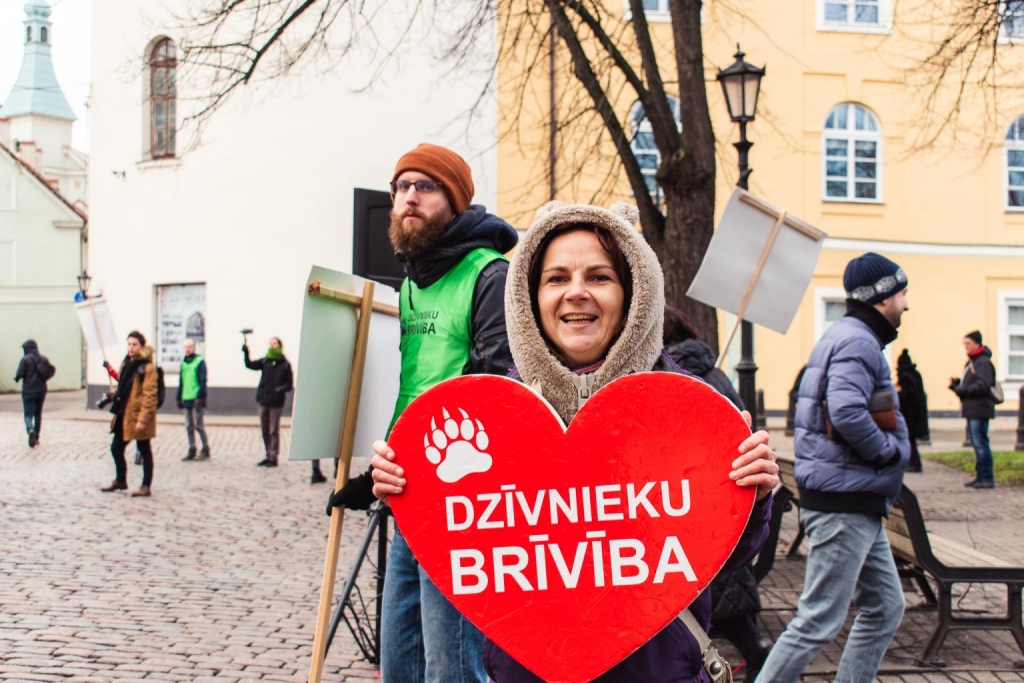 Autors: Paula Kalniņa