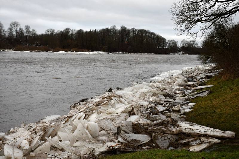 Autors: Ivars Bogdanovs
