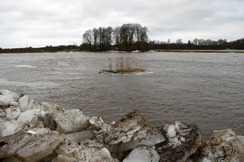 Lielupe pie Mežotnes.
Autors: Ivars Bogdanovs