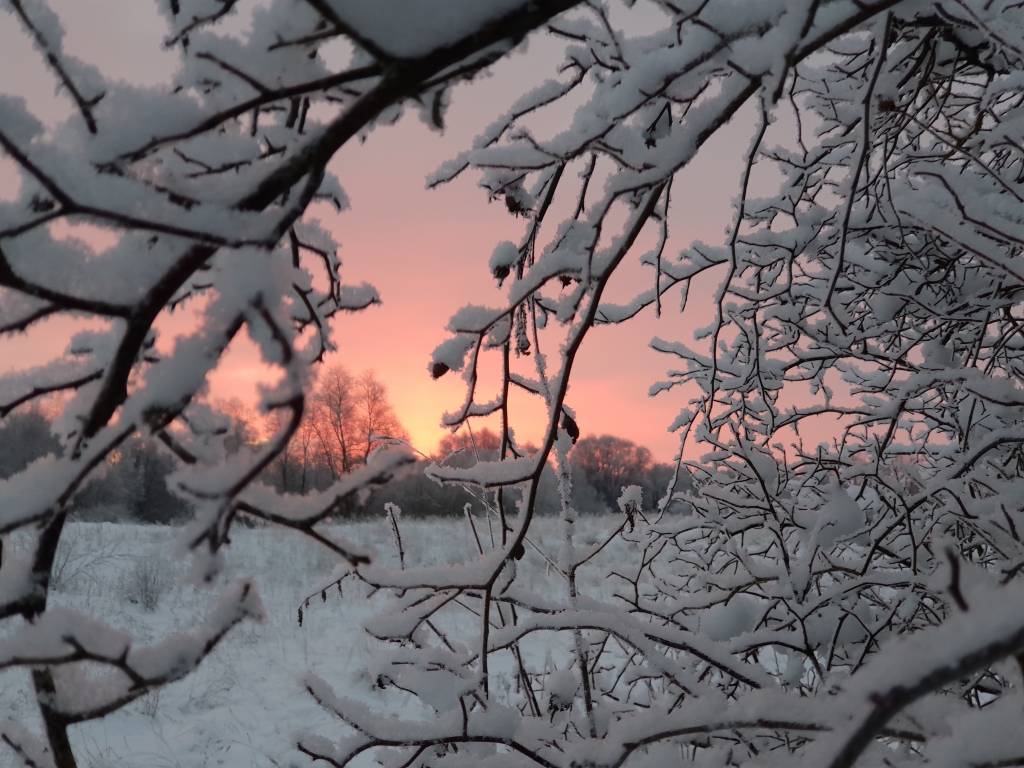 Autors: www.bauskasdzive.lv