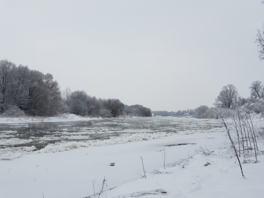 Autors: www.bauskasdzive.lv