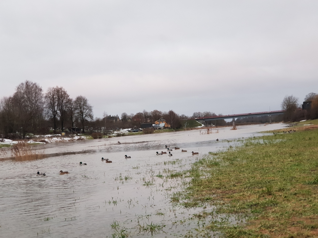 Autors: www.bauskasdzive.lv