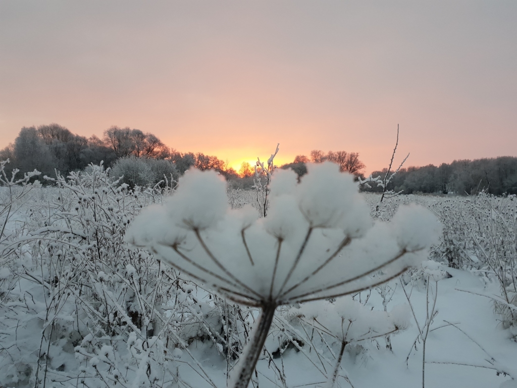 Autors: www.bauskasdzive.lv