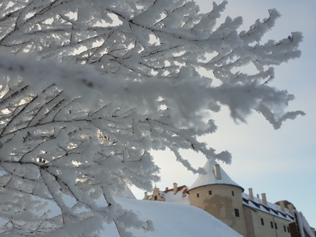 Autors: www.bauskasdzive.lv