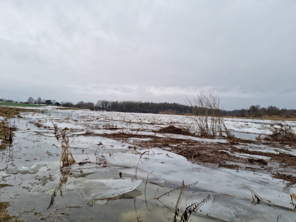 Autors: www.bauskasdzive.lv