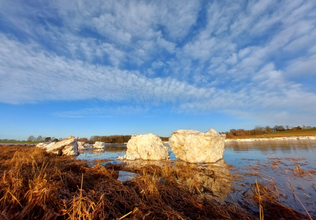 Lielupē pie Ziedoņiem, kur vēl vakar  tika novērots ledus sastrēgums, upe no šķēršļiem galvenokārt bija brīva.
Autors: www.bauskasdzive.lv