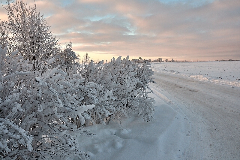 Autors: Ivars Bogdanovs
