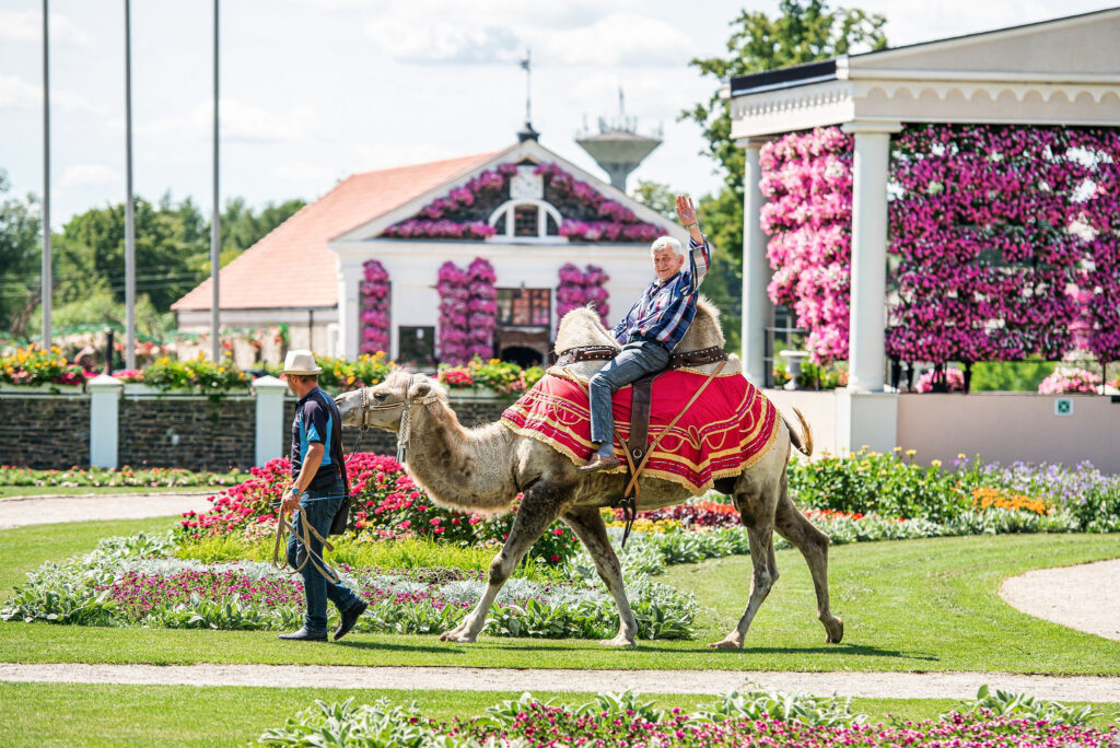 Autors: Publicitātes foto.